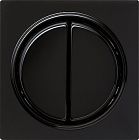 029547 Клавиша двойная Черный Gira S-color