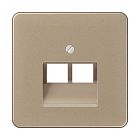 CD569-2UAGB CD 500/CD plus Бронза Накладка 2-ой наклонной ТЛФ/комп розетки Jung