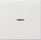 029003 Клавиша с подсветкой Белый глянцевый Gira